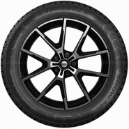 205/60 R16 96R Triangle SnowLink PL01 XL