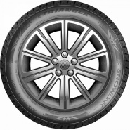 245/45 R20 103V Triangle SnowLink PL02 XL