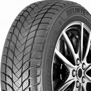 195/55 R16 87H Delinte Winter WD6