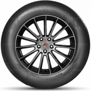 225/55 R19 99V DoubleStar DSS02