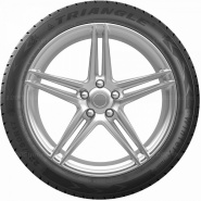 225/60 R17 103V Triangle WinterX TW401