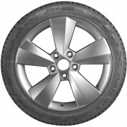 285/50 R20 116T Ikon / Nokian Tyres Autograph Ice 10 SUV XL