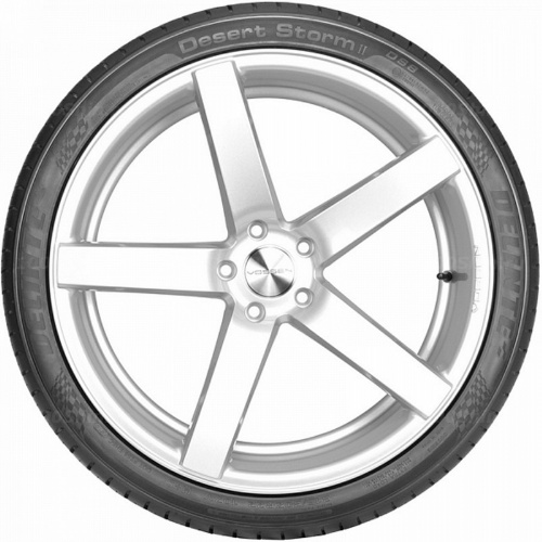 295/35 R21 107Y Delinte DS8 - 1