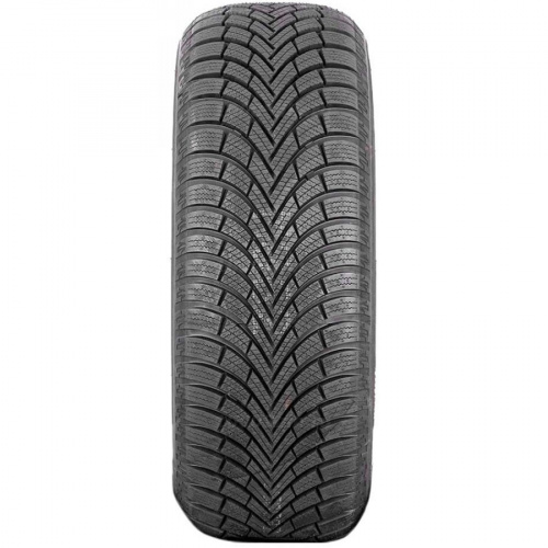 225/55 R16 99H Maxxis Premitra Snow WP6 - 1