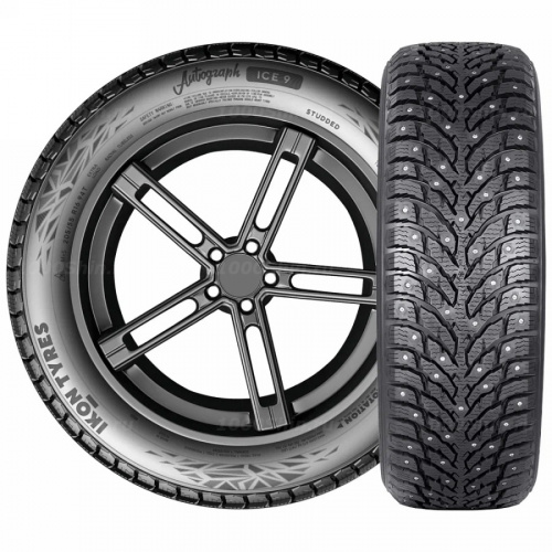 205/55 R16 94T Ikon / Nokian Tyres Autograph Ice 9 - 1