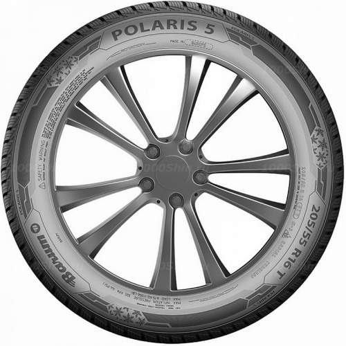 205/55 R16 94H Barum Polaris 5 (2021) - 1