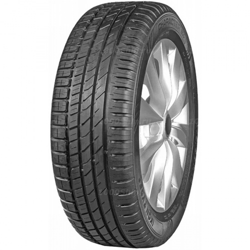 165/65 R14 79T Ikon / Nokian Tyres Character Eco - 1